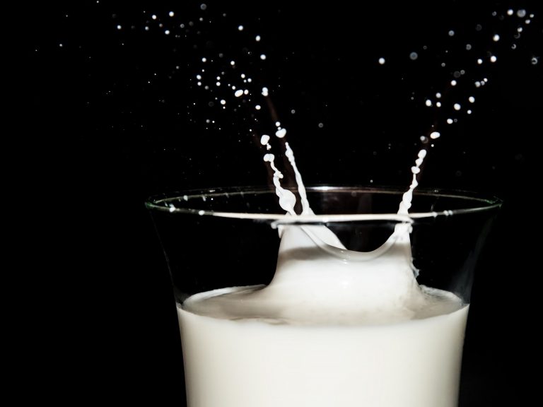 Laktoseintoleranz (Milchzucker-Unverträglichkeit) - trifolia - 3fach